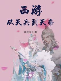 西游之从天兵开始崛起顶点