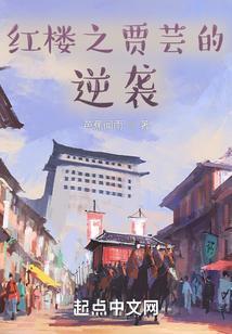 红楼之贾链