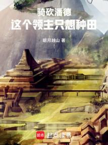 骑马与砍杀潘德npc组合