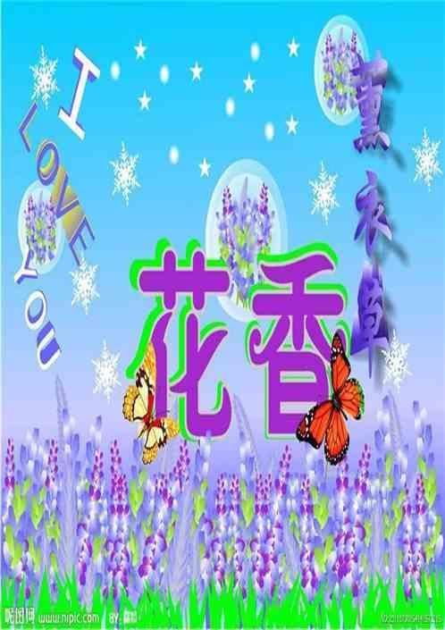 薰衣草了解