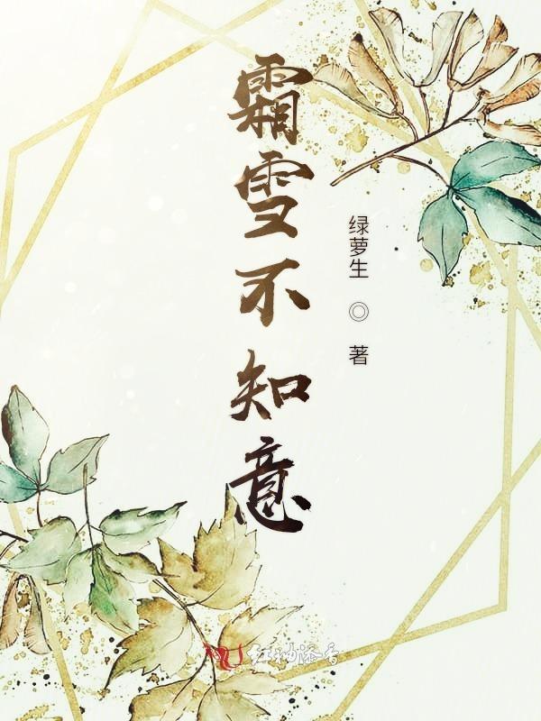 霜雪诗意