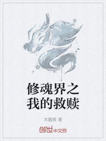 修魂全部