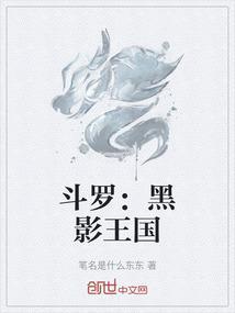 斗罗武魂黑影忍者