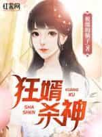 狂婿女主角