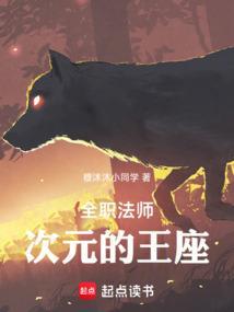 全职法师元素