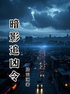 暗影追踪
