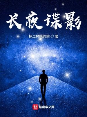 长夜谍影原名