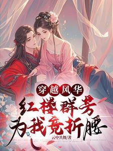 穿越红楼系列